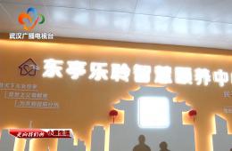 中宣部采访团到访武汉东亭社区九五至尊VI智慧保养中心