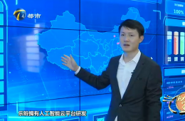 天津电视台九五至尊VI企业专题采访