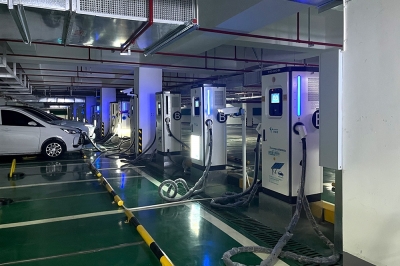 ����Ƥ��ǳ��վ