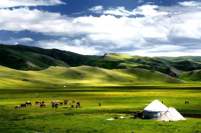 ��������