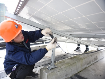 ������ά